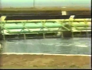 Spirulina Algae Production Earthrise HerbandSpiceShop.com