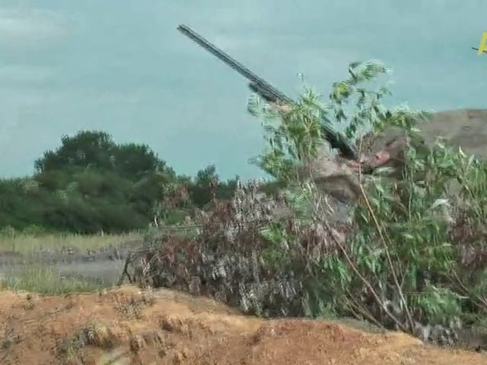 chasse à la corneille et au corbeau