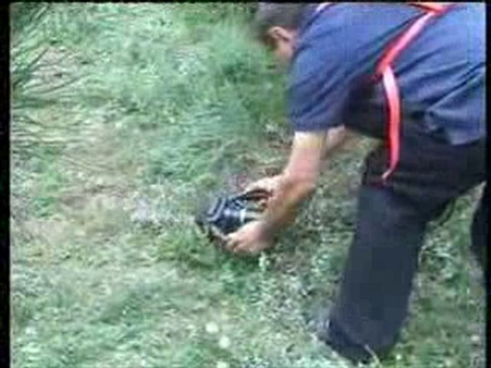 Maks Çay Toplama Makinesi