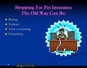 Pet Insurance Comparison Guide