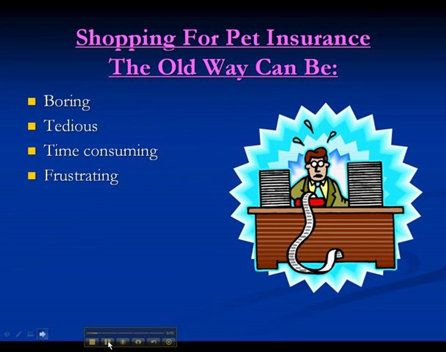 Pet Insurance Comparison Guide