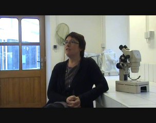 Interview de Frédérique VIARD à Roscoff