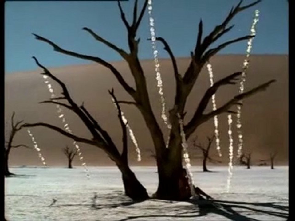 Aveillan   Elsa Benitez   Guerlain   Mahora