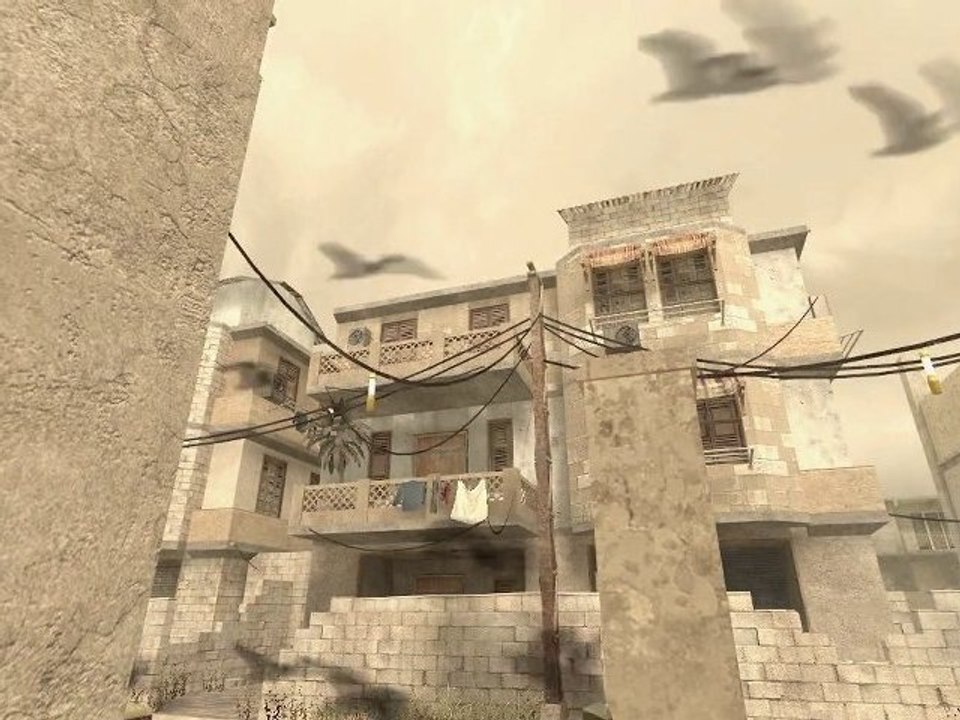 birds over the map