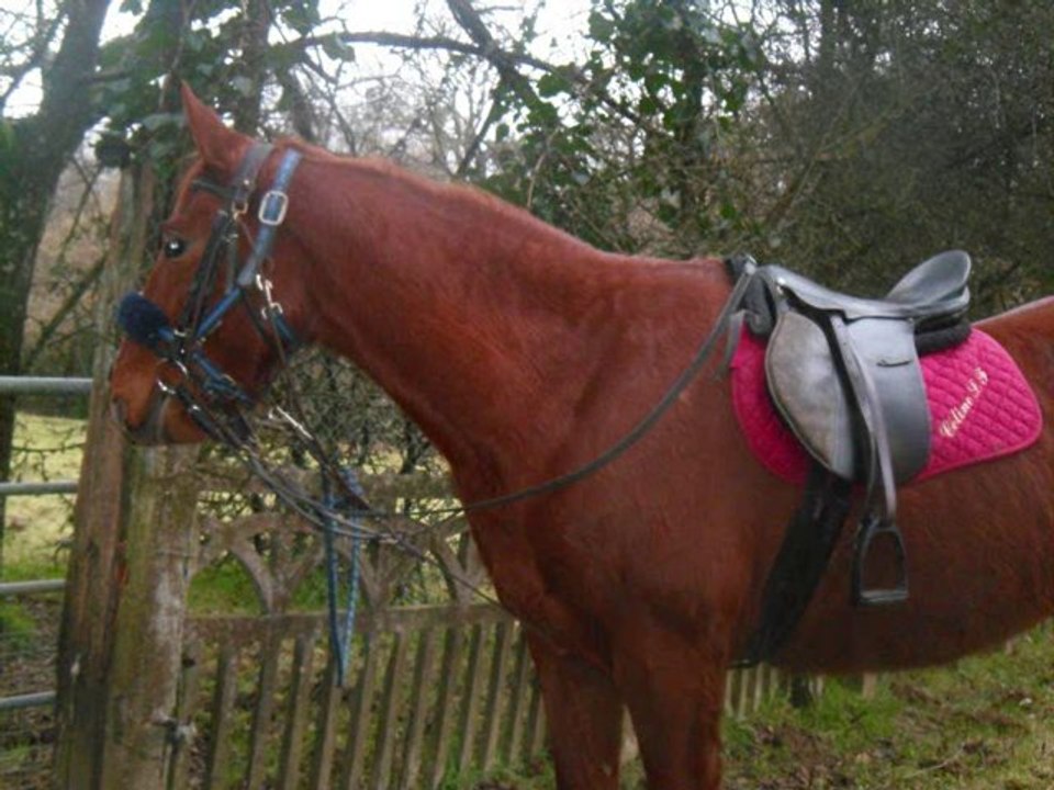 samedi 22JANVIER 2011