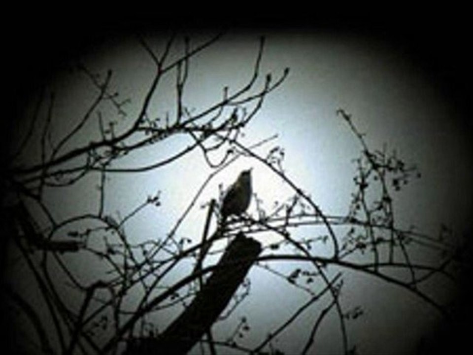 Ben aşkın varına yokluğa geldim