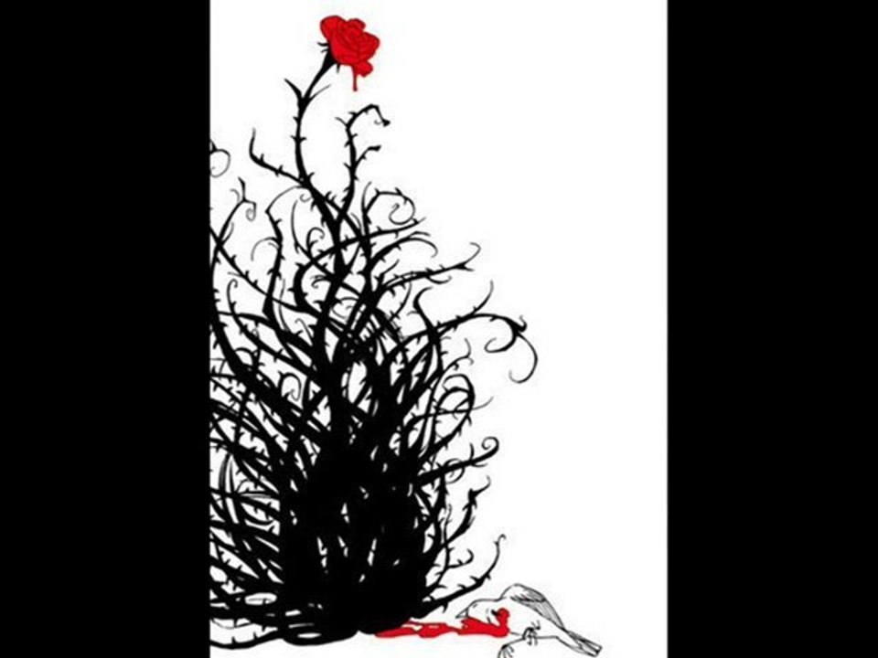 Aşk -Ney & Tanbur Duacı başından