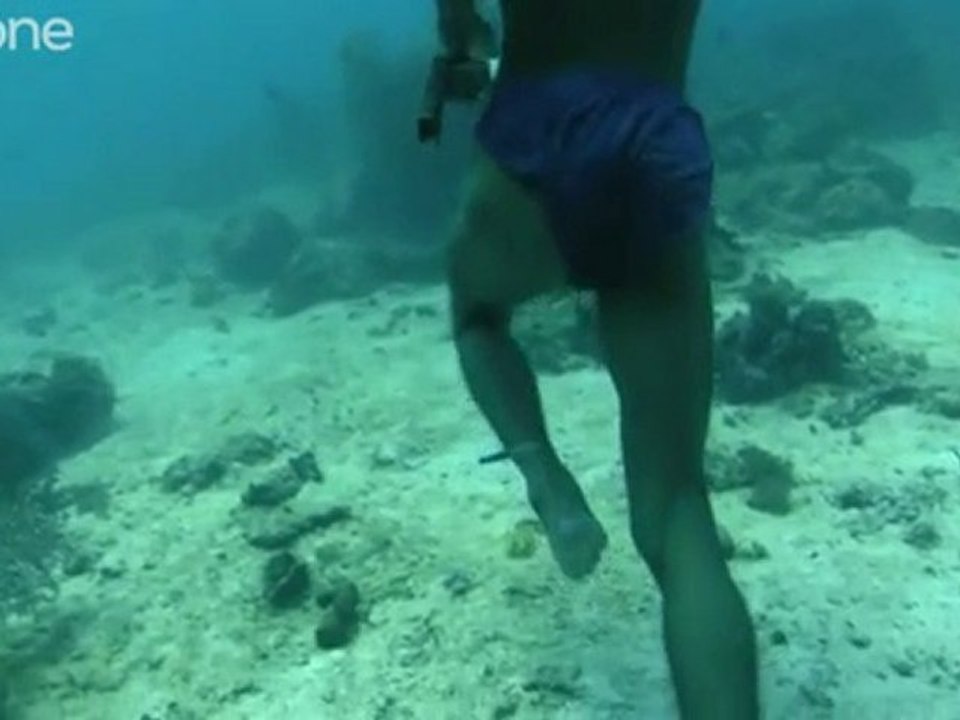 BBC - Chasse sous l'Océan