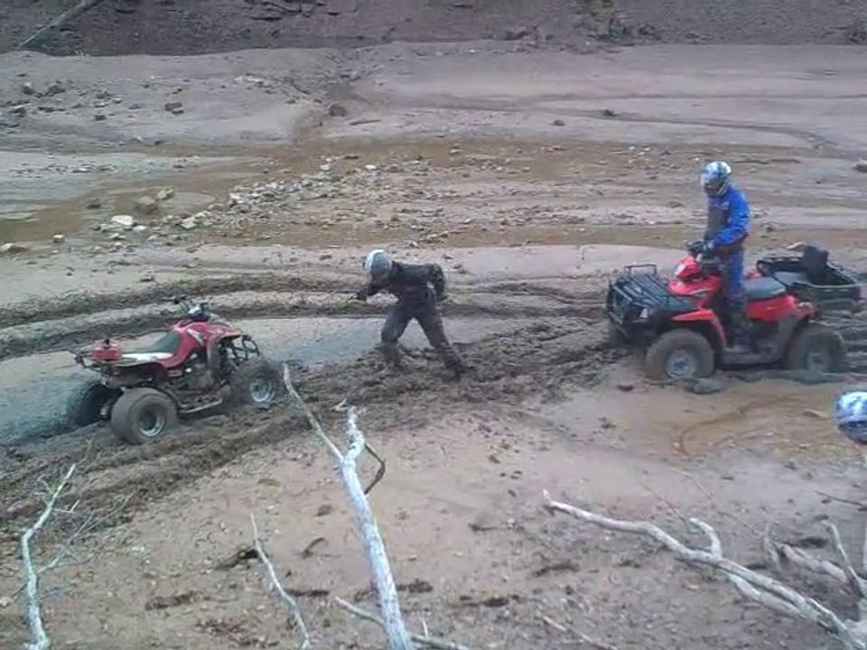SORTIE QUAD 14/11/2010 - 1