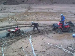 SORTIE QUAD 14/11/2010 - 1