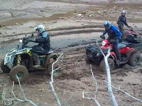 SORTIE QUAD 14/11/2010 - 2