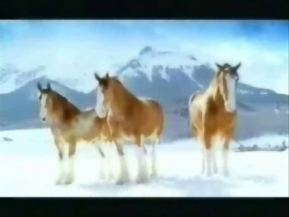 ALE.UŚMIECHNIJ SIĘ.1.