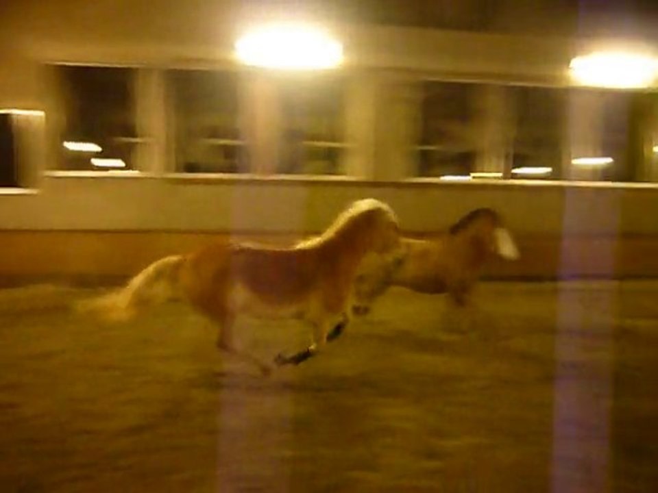 Crystal & Aragon
