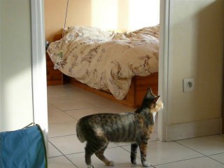 Elhaura teste son nouveau jouet