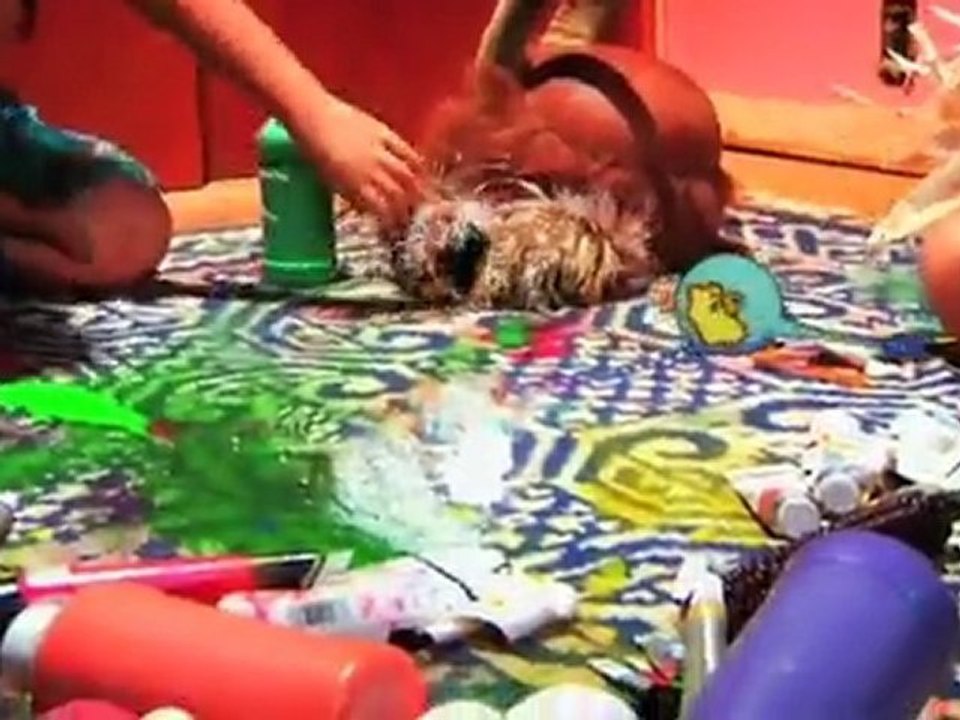 ANIMAL COLLECTIVE - Brothersport