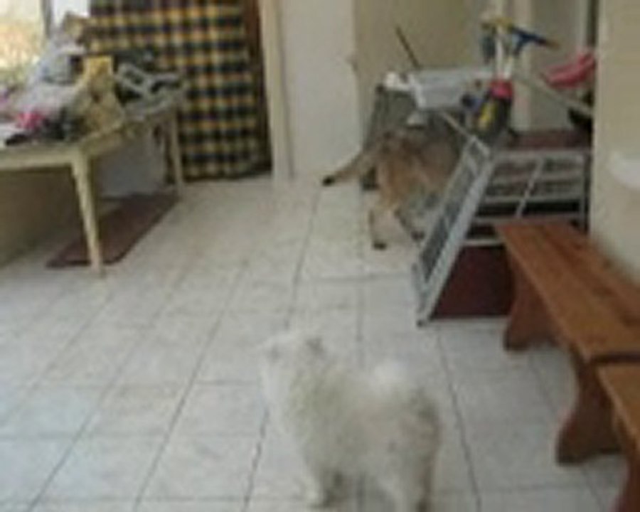 wellan rencontre tala