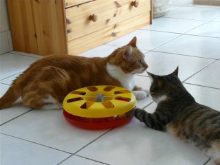 Binabik et Elhaura Danan devant leur nouveau jouet