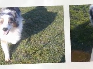 buzz ballade 23/01 2011