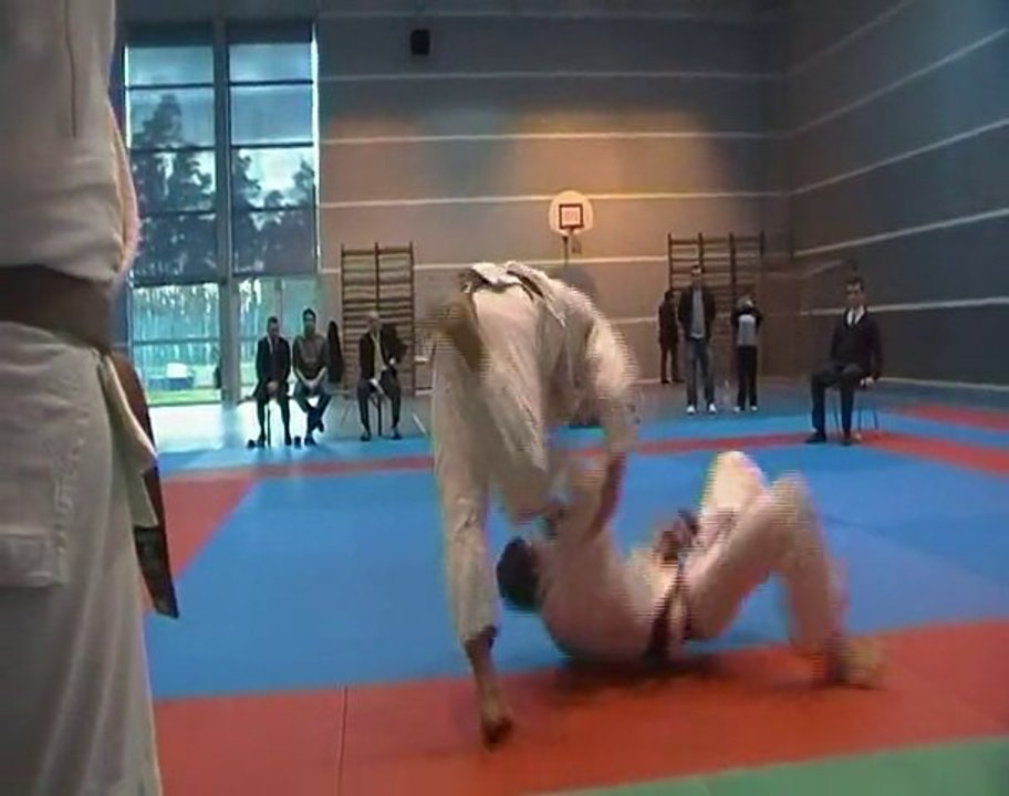équipes alsces seniors judo