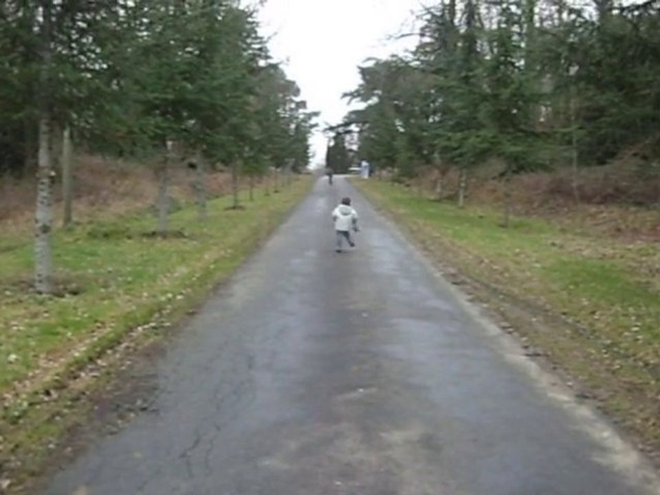 Promenons-nous dans les bois