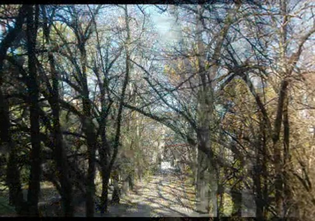 Coimbra 23 de Janeiro de 2011 - Paseio no Jardim Botânico