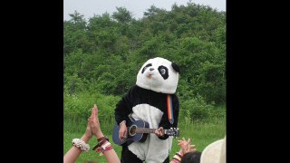 Panda Hug - Summertime (cody remix)