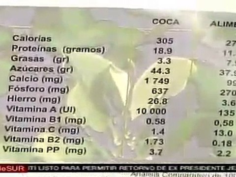 Embajador boliviano asegura que a EE.UU. no le conviene despenalizar hoja de coca
