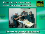 Bobcat Rescue in Tampa FL - Bobcat Rehab Rescue