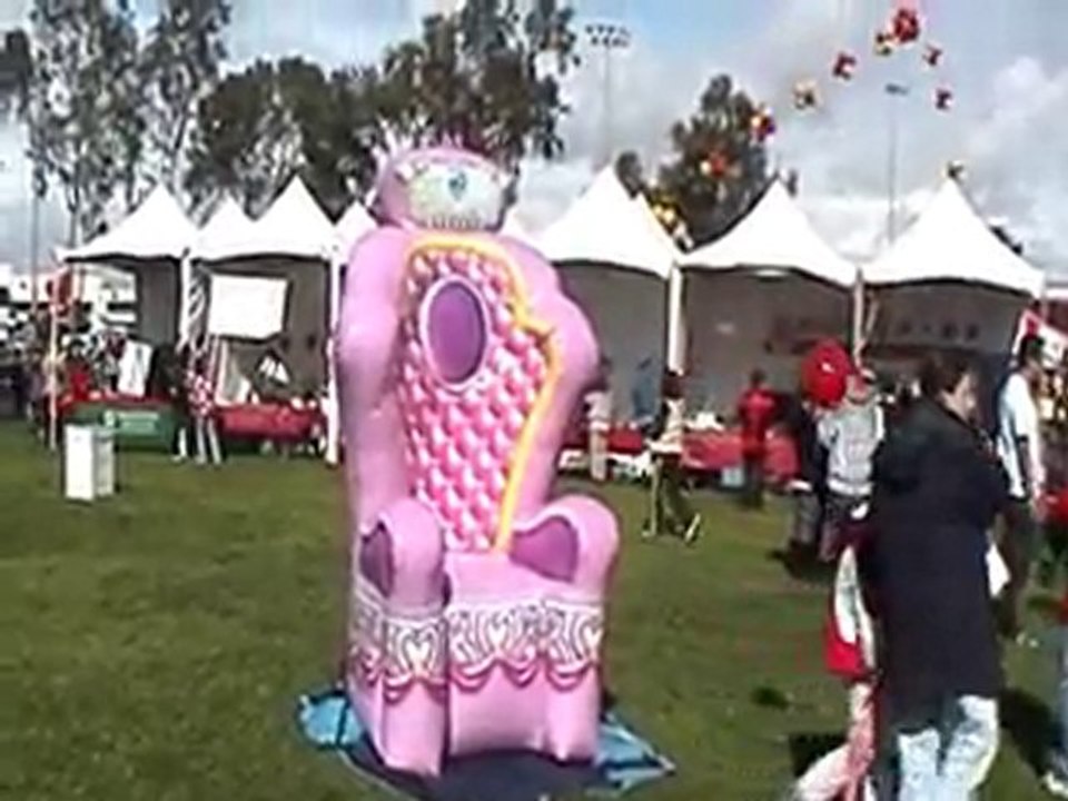 princess chair rental