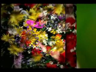 Ahmet Mekki Efendi (r.a)-Adalet ve İhsan