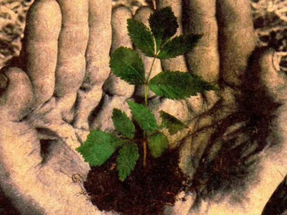 Toprak çağırmadan gel