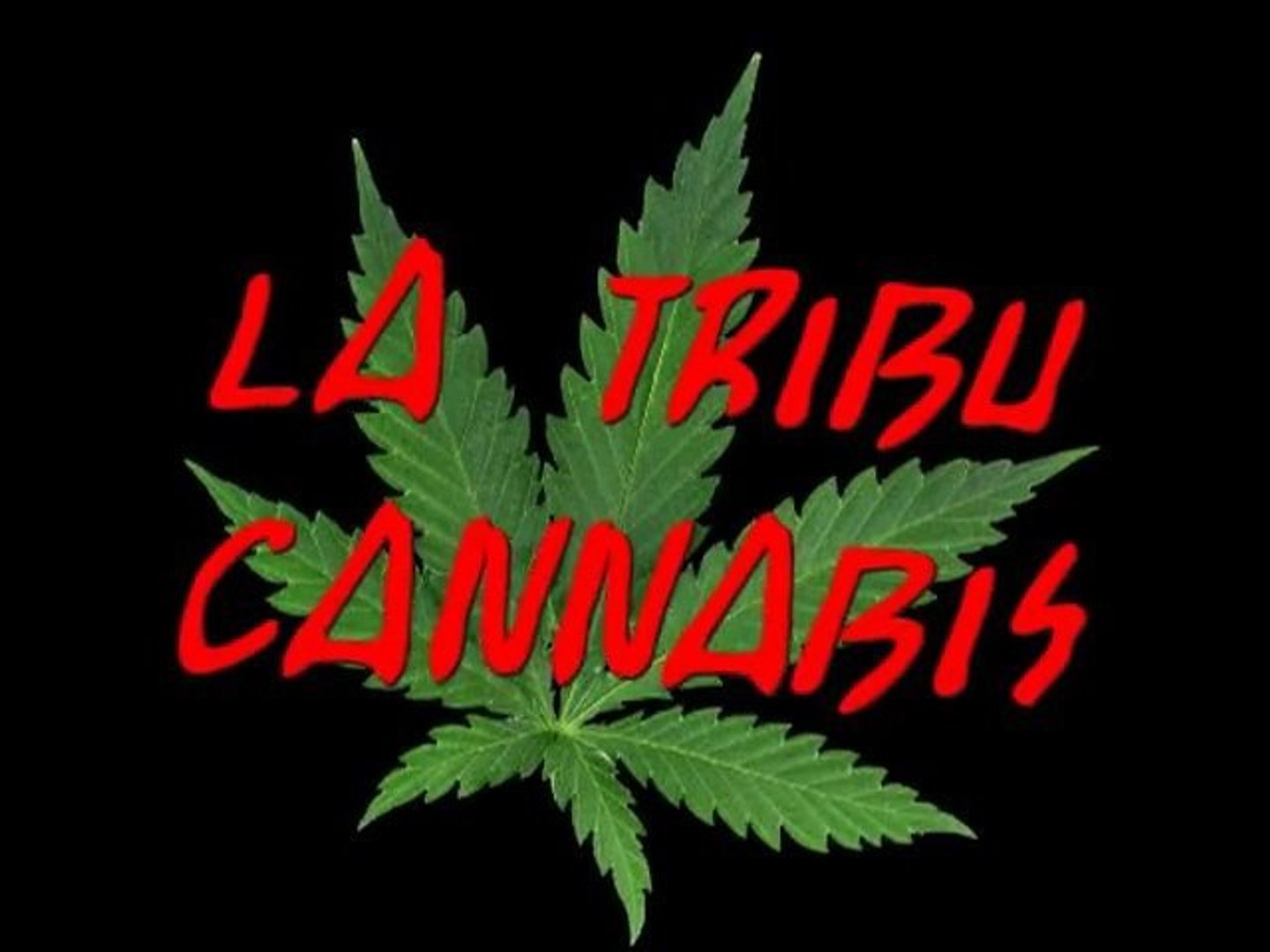 La Tribu Cannabis