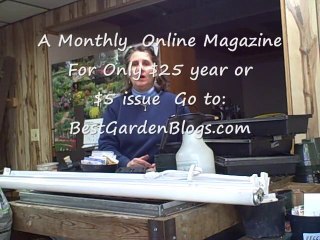 Best Garden Blogs Magazine is Coming Soon