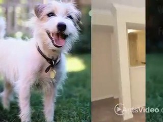 Heritage at Hillcrest Apartments in Austin, TX - ForRent.com