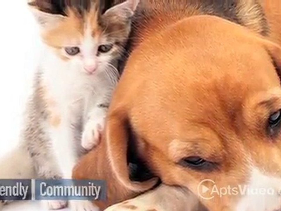 Waterside Gardens Apartments in Brick, NJ - ForRent.com