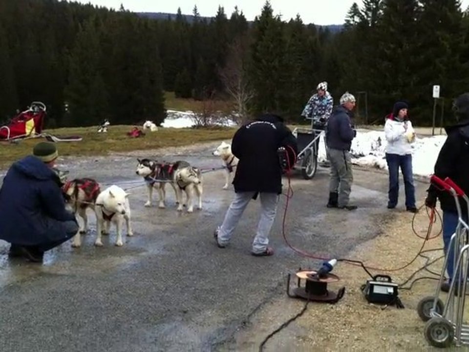 Au chalet des Mushers 3