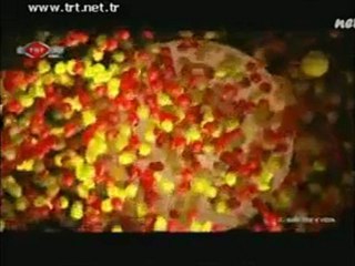 Sönmez Balon Ali Sami Yen Stadı Veda