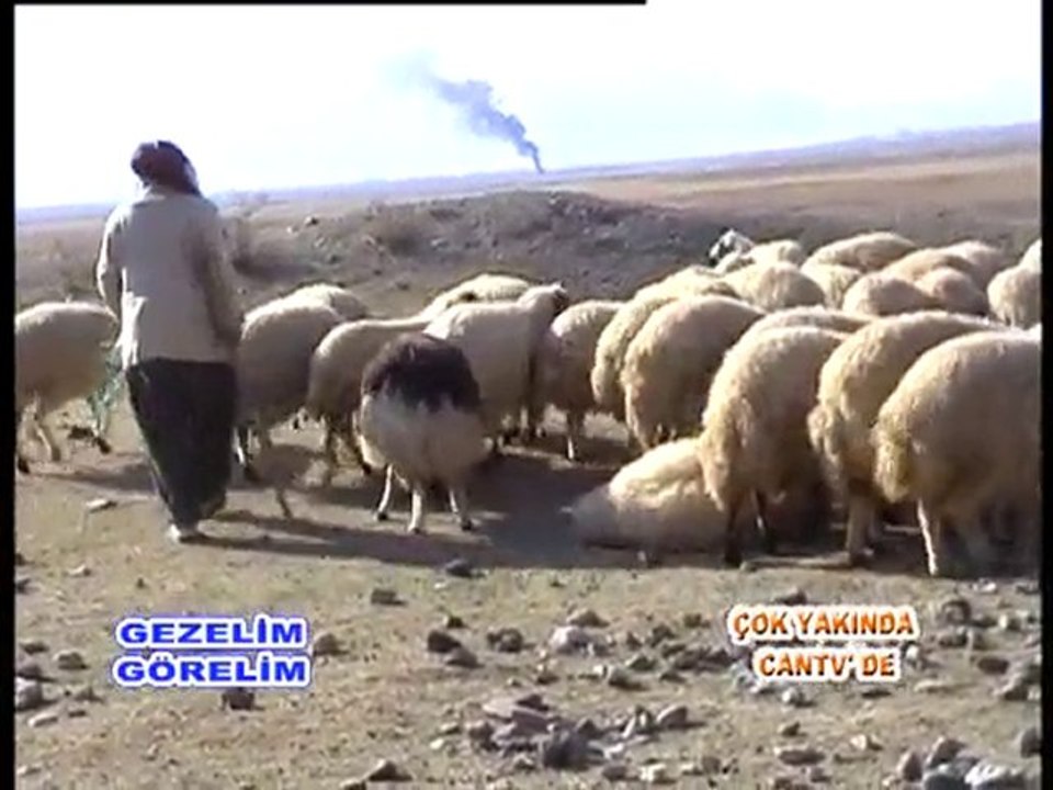 Gezelim Görelim - Mertekli TEASER