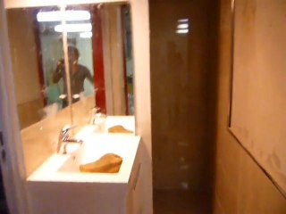 janvier 2011 petite partie