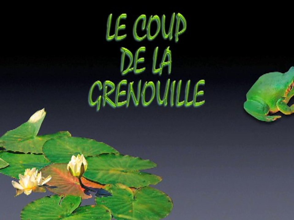 LE COUP DE LA GRENOUILLE