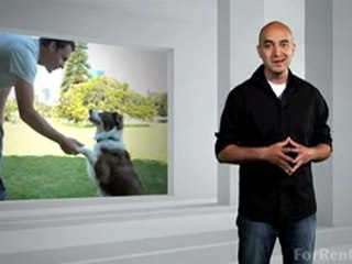 Best Dog Breeds for a Small Home - ForRent.com