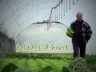 Les salades d'hiver de Stéphane Guihard