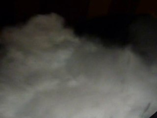 combien de marins, combien de capitaines...