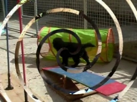 Nos deux premiers mois