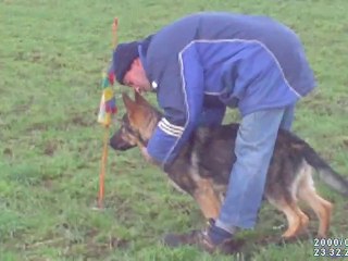 CLUB CANIN DE L IROISE