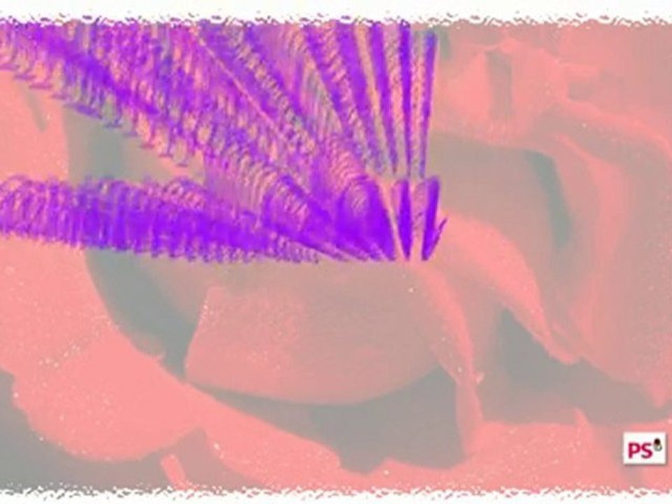 Voeux de Lynda Belhadi