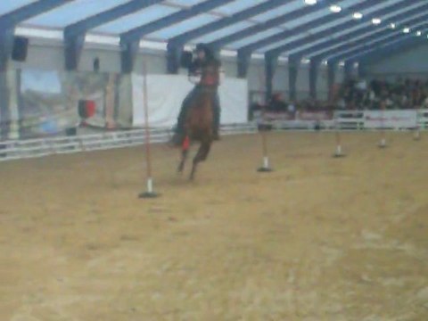 Pole Bending - Cheval Passion 2011