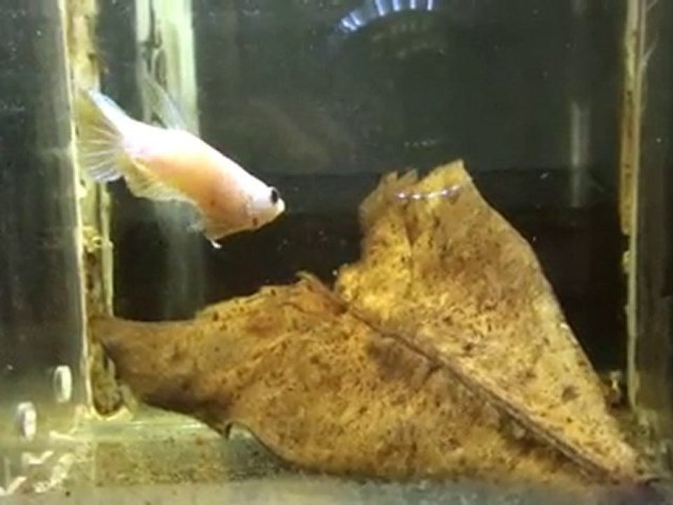 20110124183023