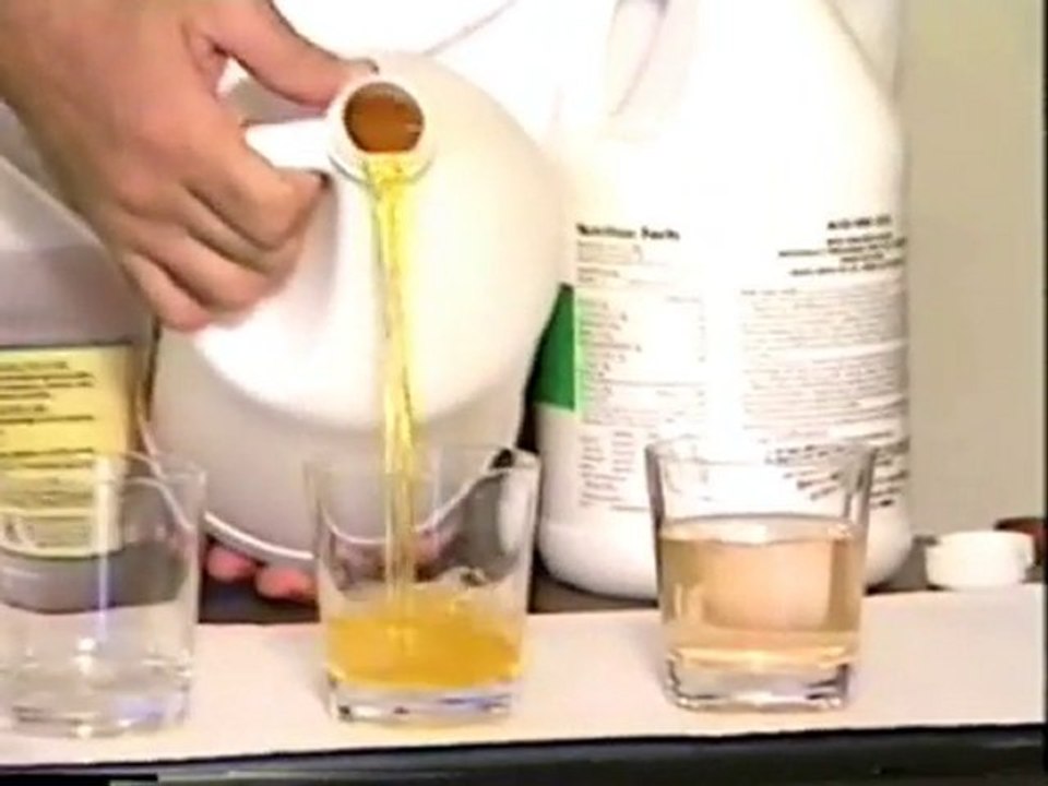 Demostración aloe vera 3
