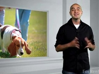 Pet Training Tips - ForRent.com